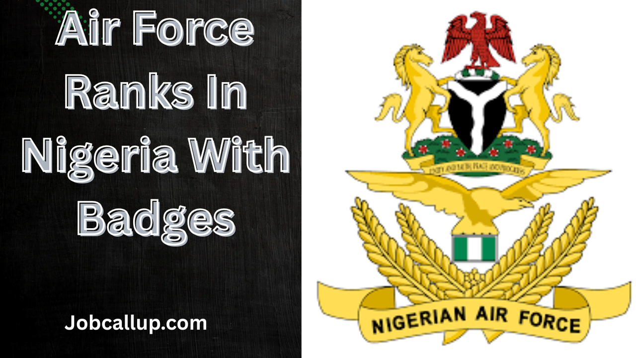 Air Force Ranks In Nigeria With Badges