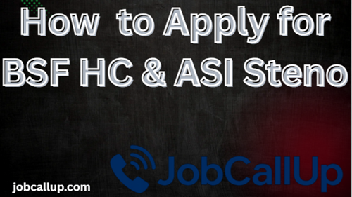How to Apply for BSF HC & ASI Steno